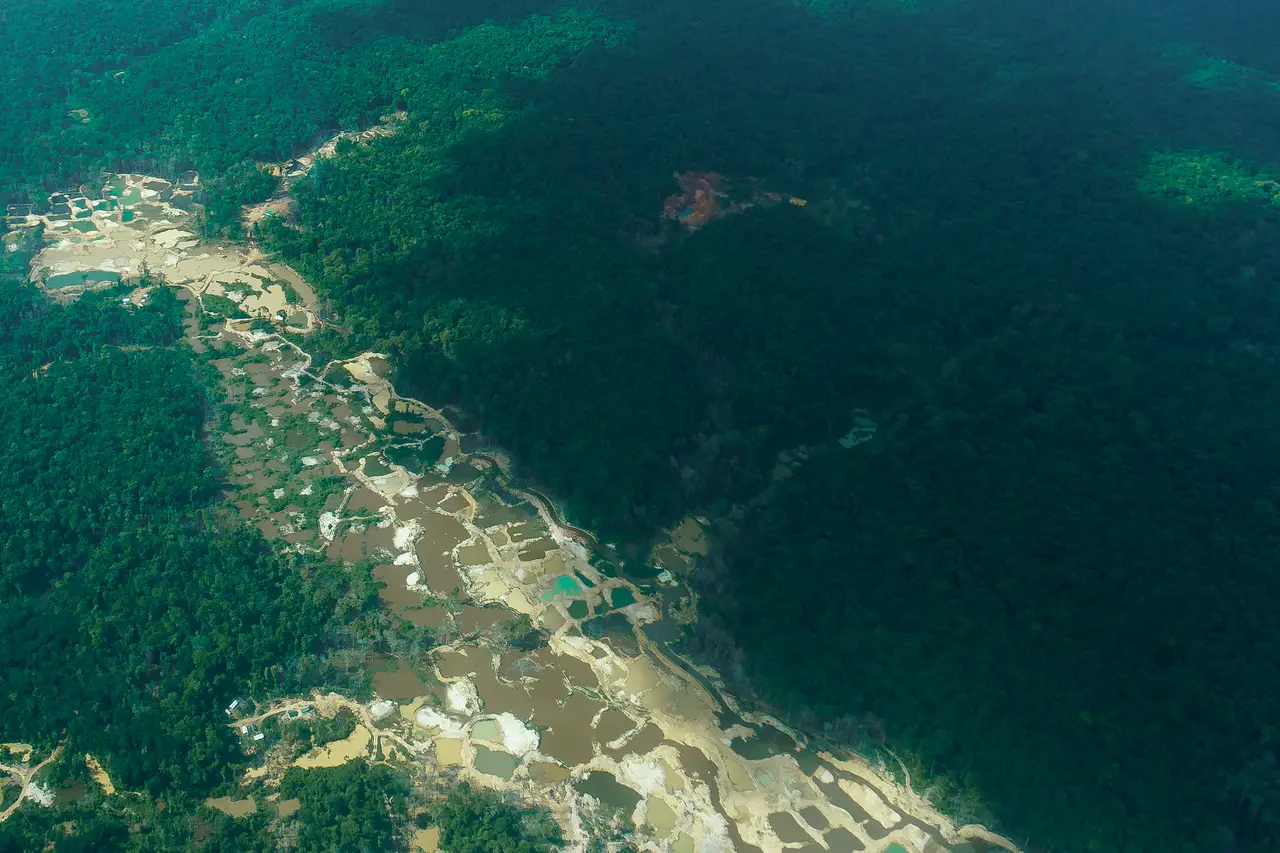 Aerial view of rainforest cut by a long strip of cleared ground and muddy tailings ponds left by alluvial gold mining