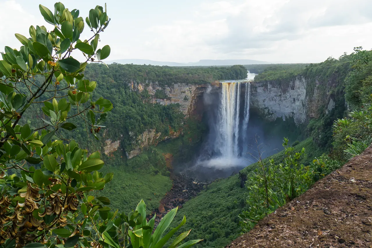 Kaieteur Falls dropping into a deep forested gorge, framed by leaves at a trail lookout